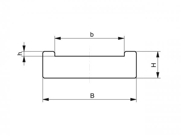 Tipo FR - Guías de correa - Murtfeldt GmbH Kunststoffe - Technische Zeichnung 1