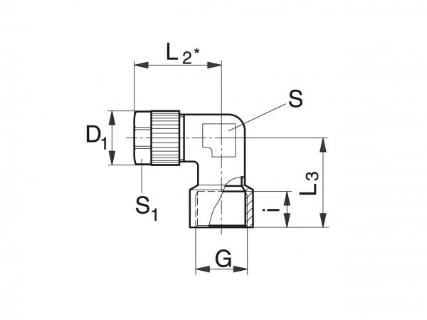 Racor con rosca interior angular para manguera - Sistemas de lubricado para racores - Murtfeldt GmbH Kunststoffe - Technische Zeichnung 1